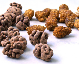 Sundere slik, guf, chokolade - Raw Chocolate Mulberries