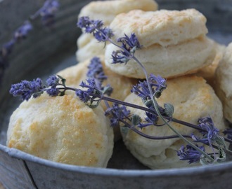 English Scones