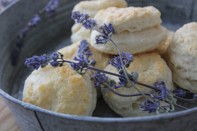 English Scones