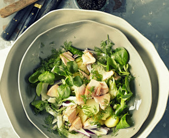 Salat med laks og lune kartofler