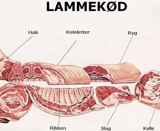 How To - Lamme Noisette