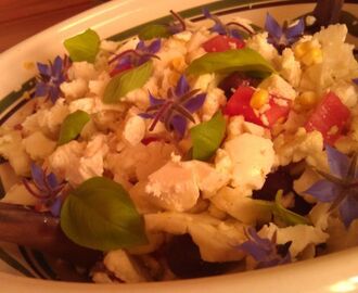 Blomkålsalat i farver - enkel og sval i varmen
