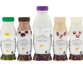 Kamelmælk – den nye ”superdrik”!