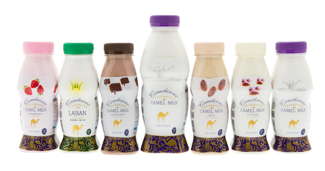 Kamelmælk – den nye ”superdrik”!