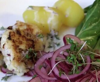 Fiskefrikadeller med salat af Pak choi