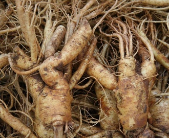 Superfood: Ginseng