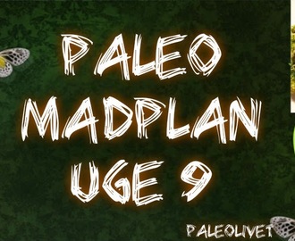 Paleo madplan uge 9