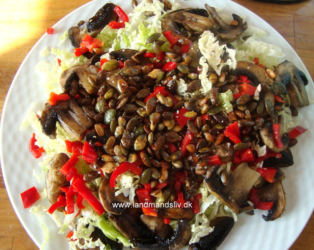 Salat med ristede champignoner