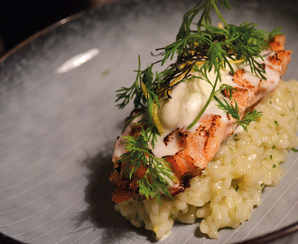 Laks sous vide med vanilje og citron med peberrodsinfuseret fløde og citronrisotto