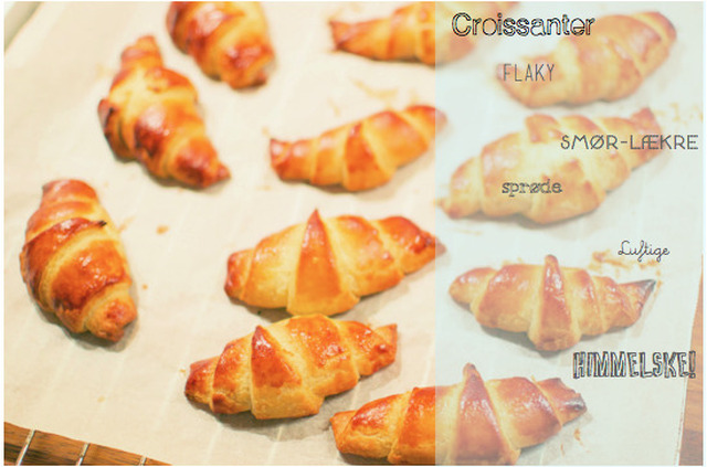 Croissanter (glutenfrie)