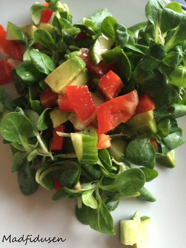 Feldsalat med agurk, peberfrugt og avocado