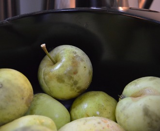 Gammeldags æblekage