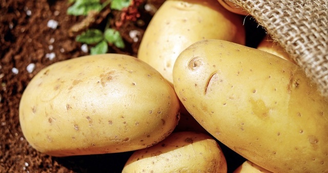 Alt du skal vide om kartofler