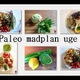 PALEO