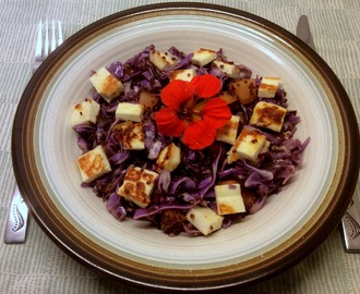 Rød spidskålssalat med quinoa og halloumiost