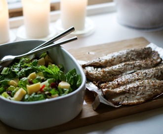 Grillet makrel på salat af æbler, tranebær og nødder samt en lime/appelsin dressing