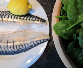 Stegte makreller med perlerugsalat