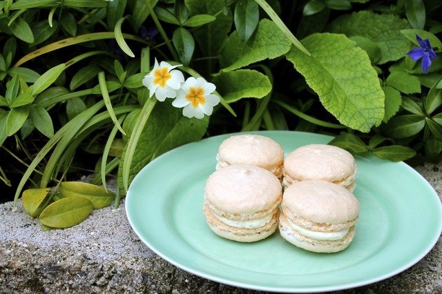 Macarons med citron og hvid chokoladeganache