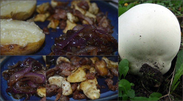 Sommer ret med bagekartoffel, ristet støvbold (kæmpe svamp), bacon samt karamelliseret rødløg :)