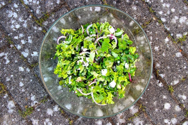 Green Summer Salad