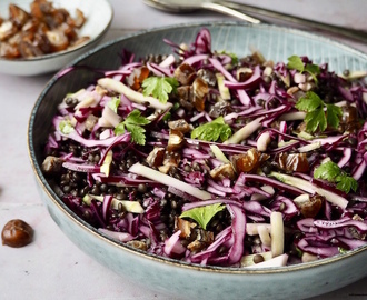 Spidskålssalat med broccolistok, urter og tørrede dadler