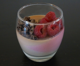 Chocolate and Raspberry panna cotta