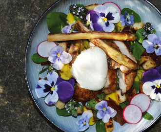 Stegt kylling på blomstersalat med pocheret æg