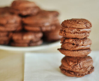 I dag gik jeg amok og lavede Chokolade macarons