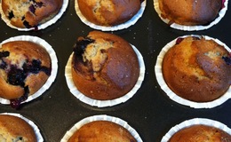 muffins