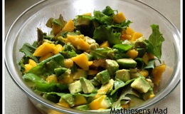 Avocado mango salat