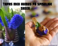 Tapas med humus på spiselige skeer