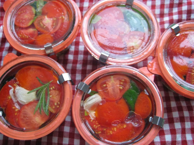 Henkogte tomater, anno 2011