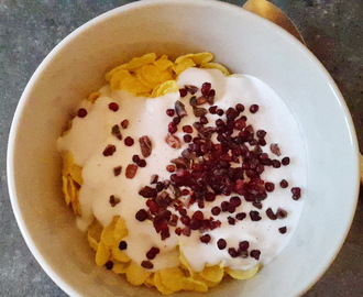 Kokosyoghurt, fortykningsmidler og kokoscremefraiche