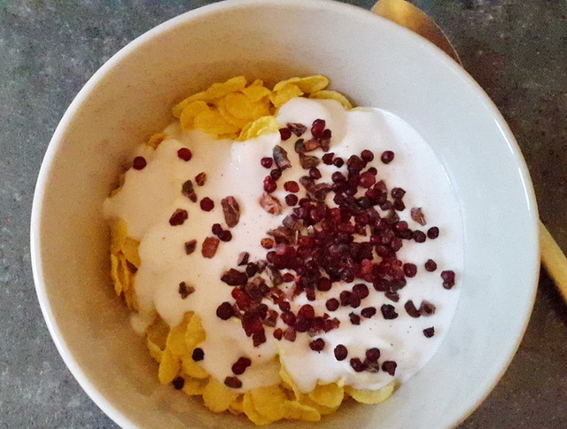 Kokosyoghurt, fortykningsmidler og kokoscremefraiche