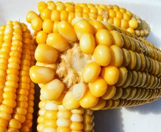 Spiser du GMO-holdige fødevarer uden at vide det?
