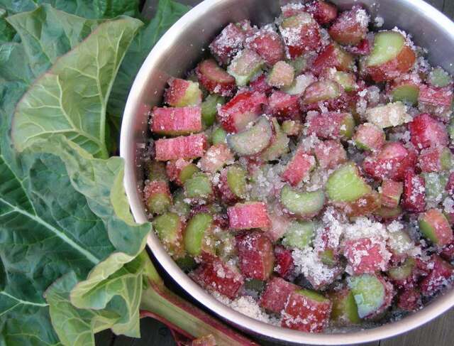 Rabarberkompot – brug den som dressing på grøn salat