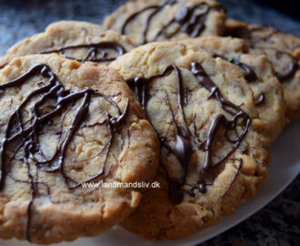 Store cookies med peanuts