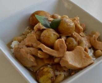 Gul thai-curry-agtig sag inspireret af en thai mussaman-curry