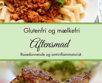 Ny e-bog – Aftensmad uden gluten og mælk, antiinflammatorisk og basedannende