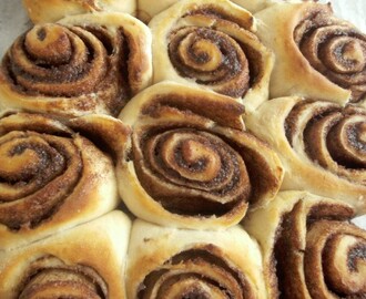 Lækre kanelsnegle / Delicious Cinnamon Twirls