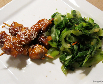 Japanske kyllingespyd med varm bok choy salat