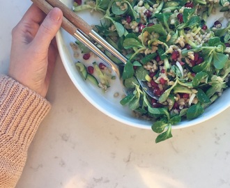 Mættende salat med perlebyg og humus