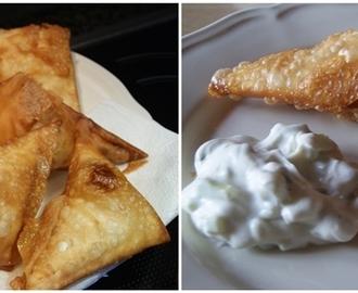 Vegetarisk samosa