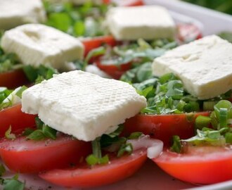 Hjemmelavet feta ost ... eller som det hedder i dag - "hvide salatterninger"