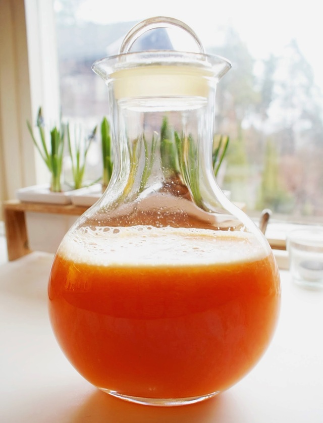 Friskpresset juice på tranebær, ananas og appelsin - forebyg blærebetændelse