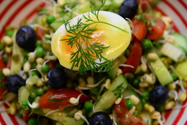 Mungbønnesalat – med æg, blåbær, sorte ris og tun