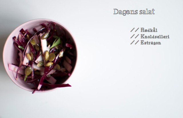 Dagens salat: Rødkål og knoldselleri med estragon