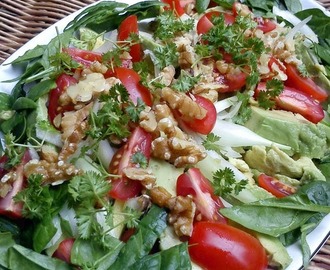 Avokado salat