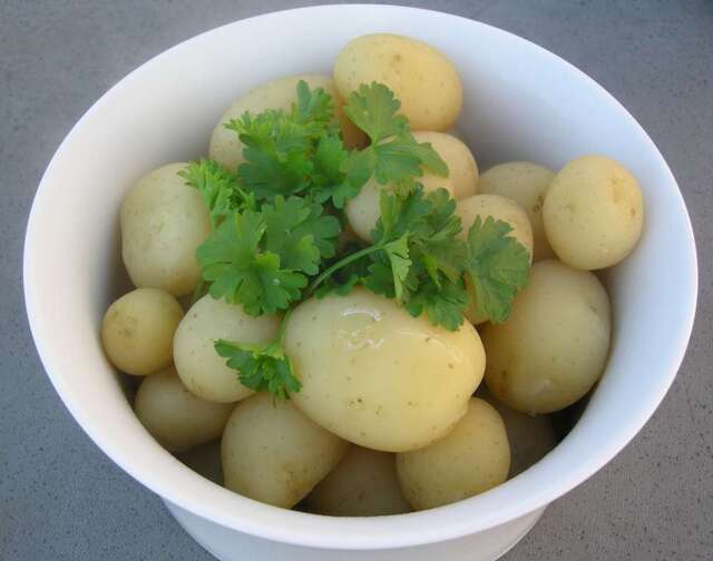 Nye danske kartofler – det smager godt