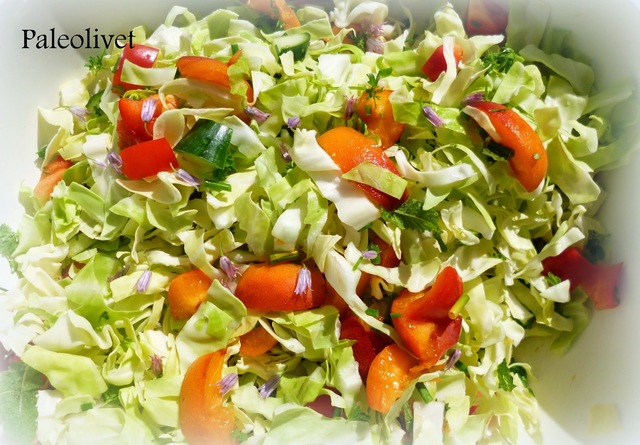 Spidskåls salat med friske abrikoser og karrydressing